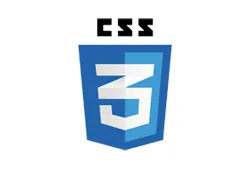 CSS Logo